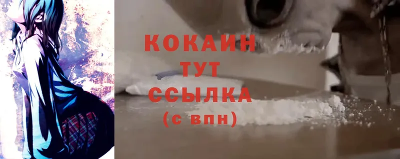 Cocaine Эквадор  продажа наркотиков  гидра ссылка  Богородск 